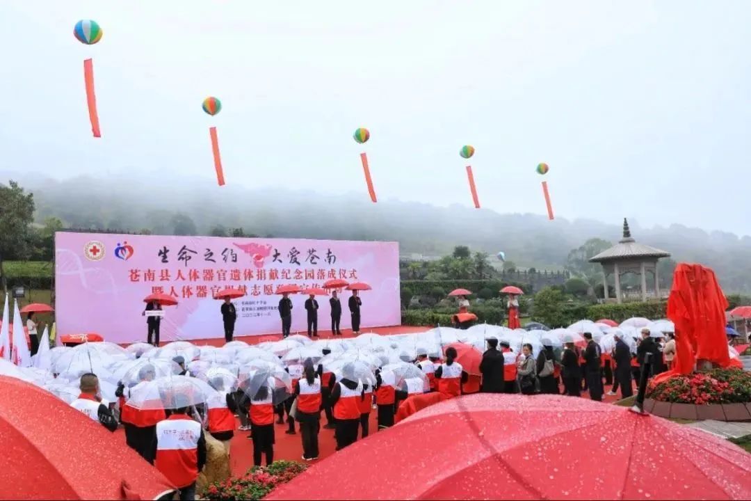 <b>生命之约，大爱玉龙</b>