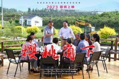 《樱桃崮下》给356体育在线的启发