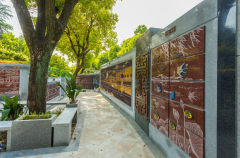 绿色殡葬新风尚：探索葬式多样化的创新之路