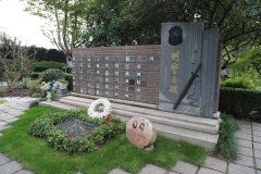 致敬“平安卫士”，铭记“刑警之魂”