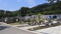 生态葬，让生命在绿意中永恒