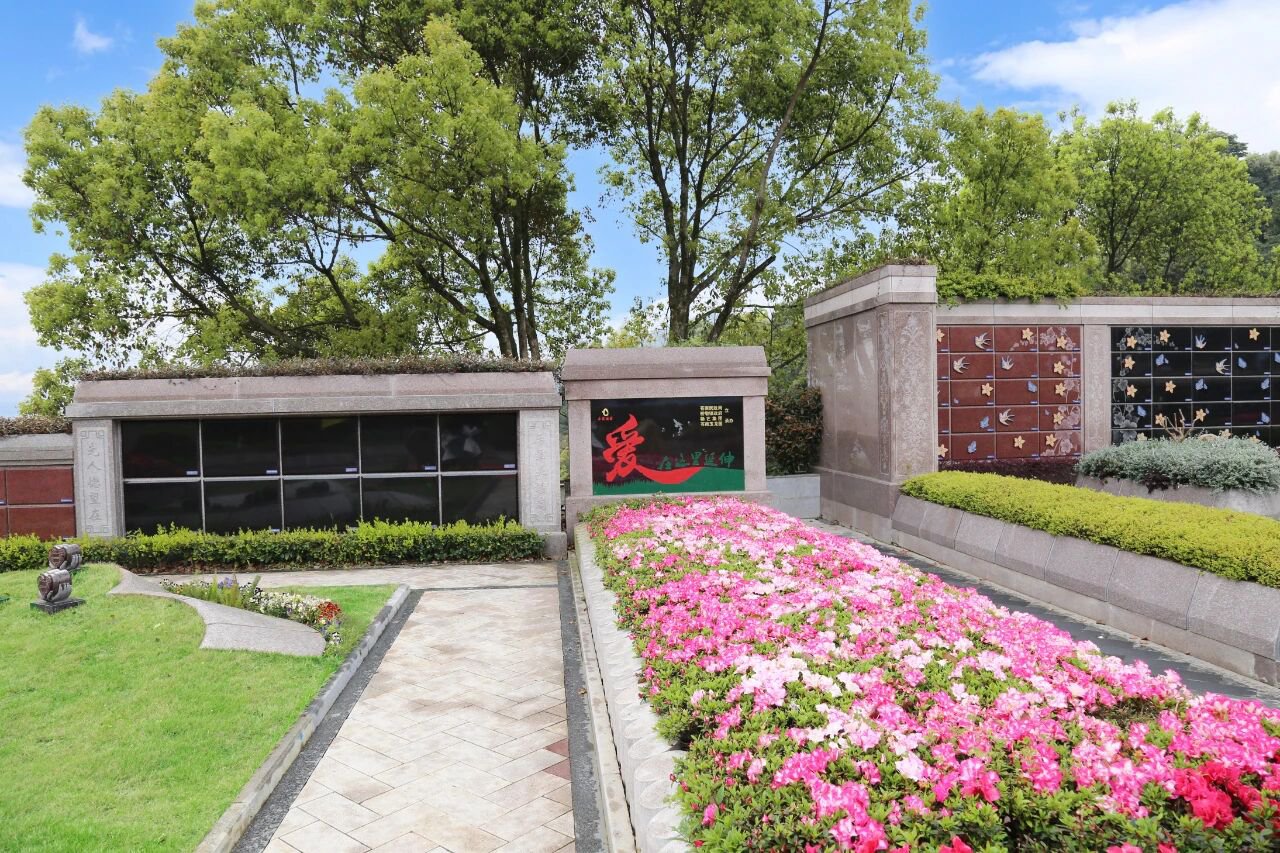 当纪念，开始生长